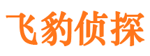 安国调查公司